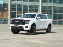2025 H5 2.0TԄI 