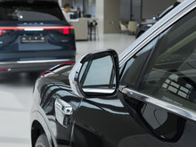 2025�� �ʽ�M9 ���� Max�� 52kWh 6����